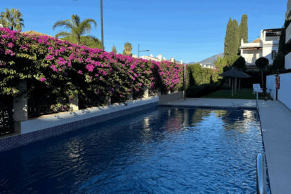 1f5d82644f8dd0ad9a5c294094214679 - 17