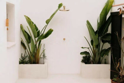 20051a9dcf912cce585fbd8d3465909f - 34