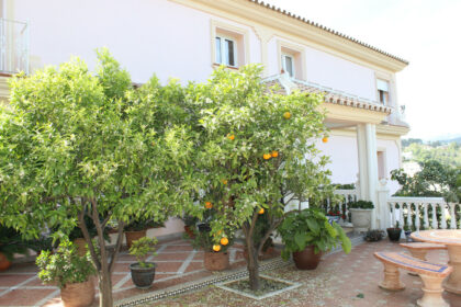 2084d86c8bbb16765389b6c21822effc - 56