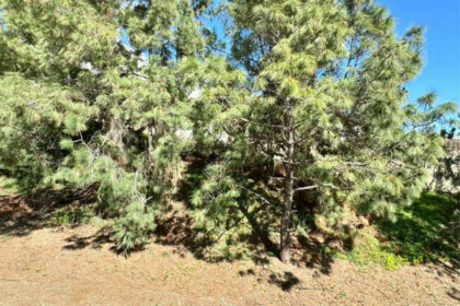 21d625ce06eb8f53d41a59affd7710cd - 13