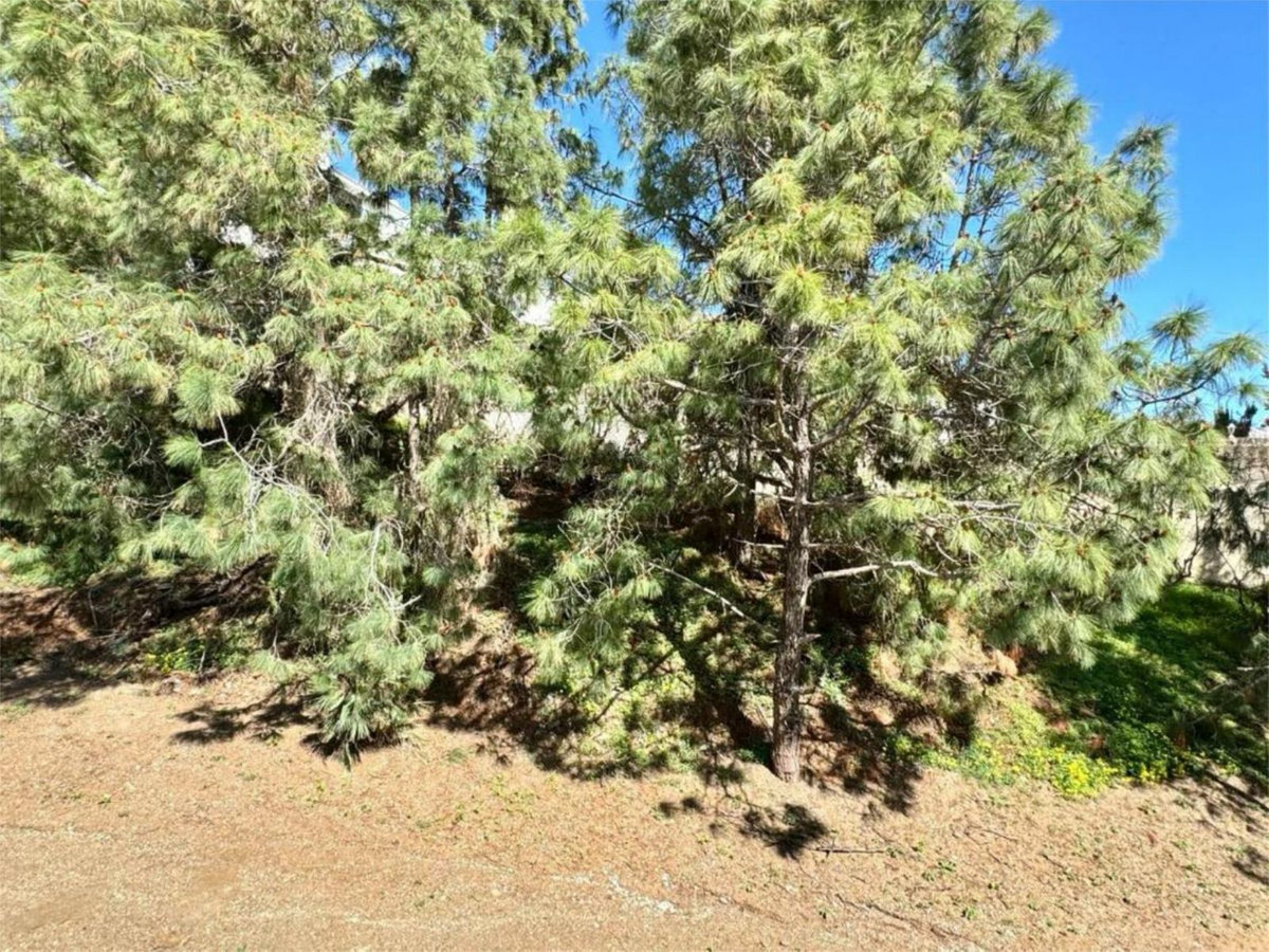 21d625ce06eb8f53d41a59affd7710cd - 13