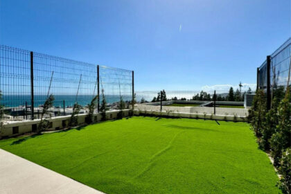 21d625ce06eb8f53d41a59affd7710cd - 31