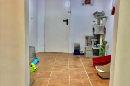 2274a63e48f8a44b7a9cf588461d575a - 36