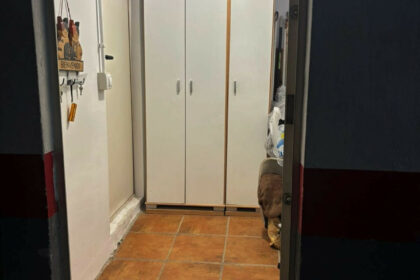 2274a63e48f8a44b7a9cf588461d575a - 40