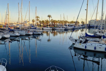 22d50c30d1a320e8721d02c4272515af - 20