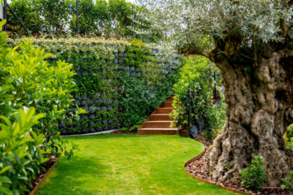 24f8e4a6f41a81d9ddf04e31dbd97bfc - 49