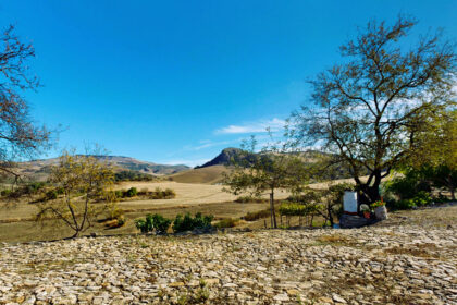 25bf68ea0ec2c82d841697a7fe20a8ef - 16