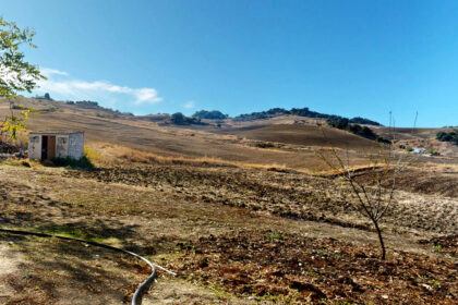 25bf68ea0ec2c82d841697a7fe20a8ef - 20