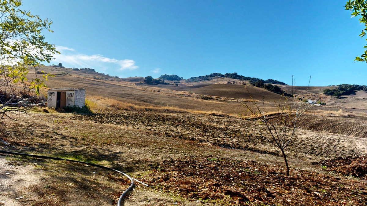 25bf68ea0ec2c82d841697a7fe20a8ef - 20