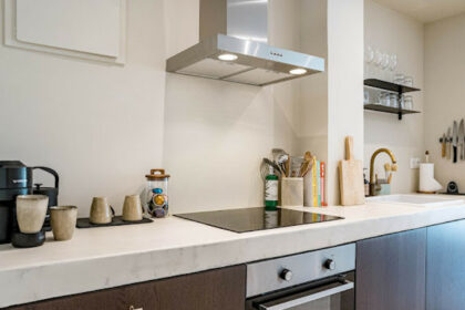 27e3cc0e8677232f0137e4ef464259dc - 12