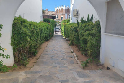 28a56ddd741049fae65544d8b7c68435 - 13