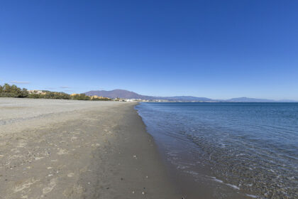 2952b2a380a966f9a241fd63175d5cec - 5