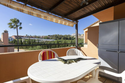 2952b2a380a966f9a241fd63175d5cec - 8