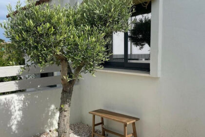 2a45d26c838be14fad7181cdb1b90040 - 3