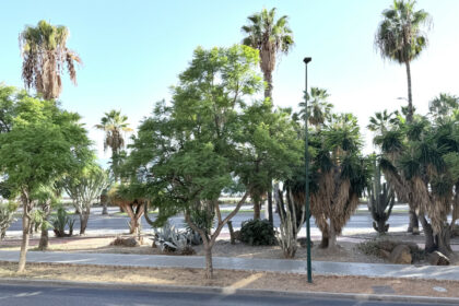 2b8253aee24710f75e88a176a2ea8e7c - 13