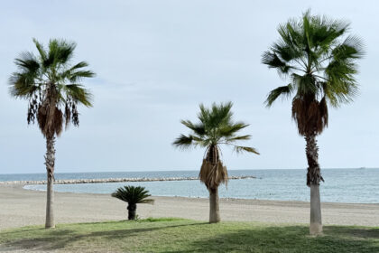 2b8253aee24710f75e88a176a2ea8e7c - 28