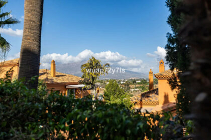 2c5135df2a6b8c0a5da62e771f5ddcc9 - 46