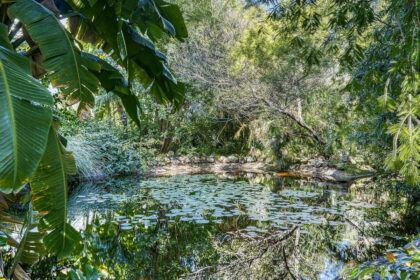 2fc191b36055db699e4b229126312955 - 4