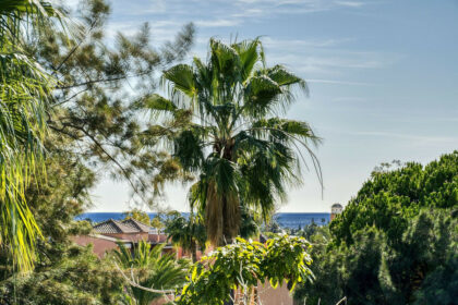 2fc191b36055db699e4b229126312955 - 45