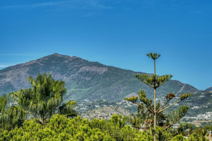 2fc191b36055db699e4b229126312955 - 49