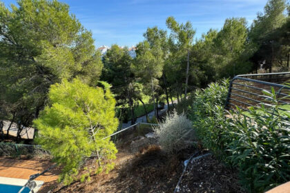 305489f79bc906681f74513264536781 - 23