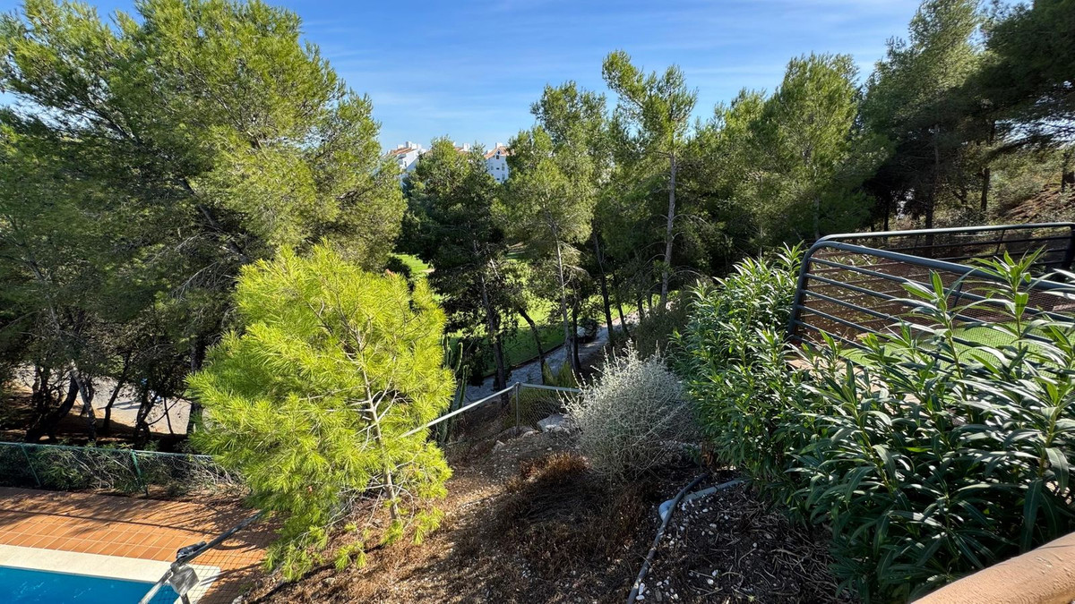 305489f79bc906681f74513264536781 - 23