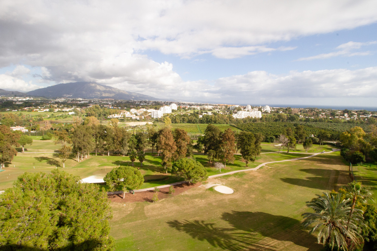 3090a00bf475f89489aa869502bed81d - 36