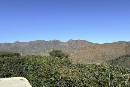 30d05b8536bd3e0eb07e707628cc950c - 32