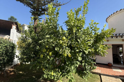 3130580224c363ca1aa44e8793010ff8 - 4