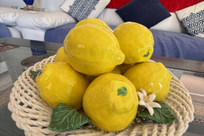 3130580224c363ca1aa44e8793010ff8 - 48