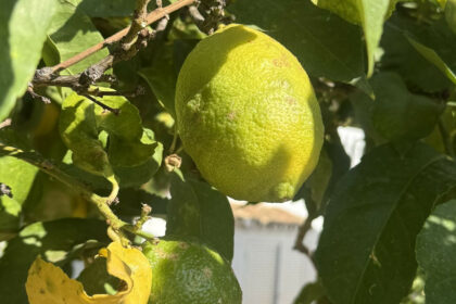 3130580224c363ca1aa44e8793010ff8 - 6