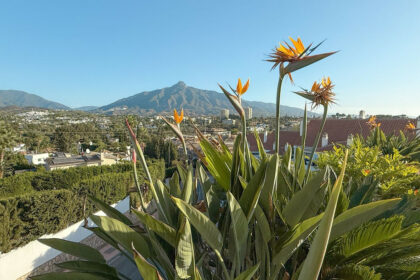 313c1d34d059acb0a8aa96cbd85313ed - 23