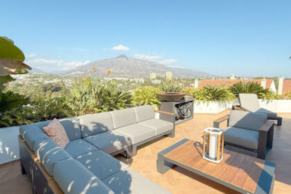 313c1d34d059acb0a8aa96cbd85313ed - 31