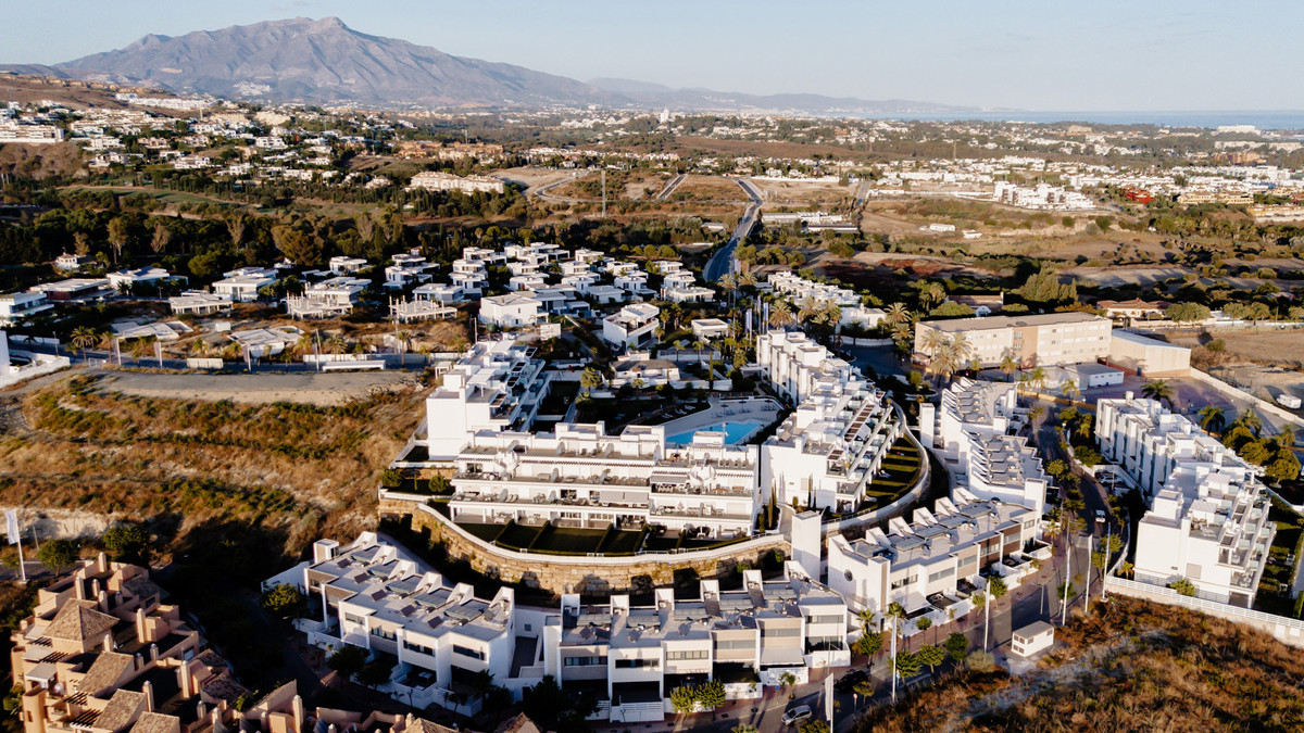 31cd129a2a260f67badffc3a261ee1b2 - 26