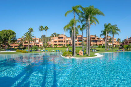 335522fd8a8a99e1ff310fa371f6031b - 1