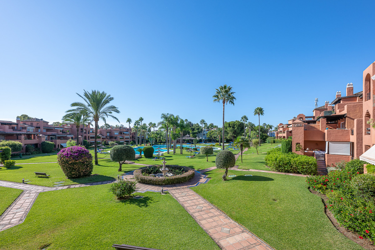 335522fd8a8a99e1ff310fa371f6031b - 29