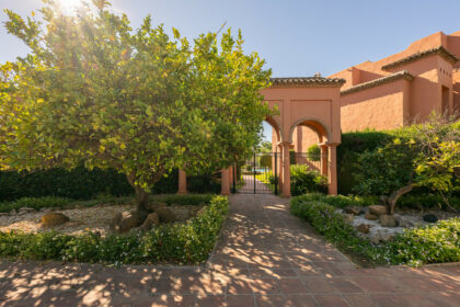 335522fd8a8a99e1ff310fa371f6031b - 32