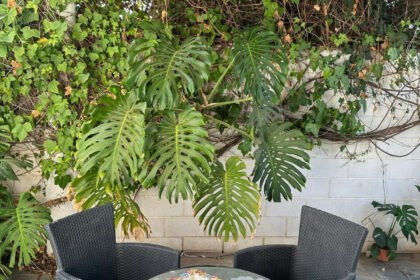 33ff36a60da06a09a032837f5fc7c4eb - 18