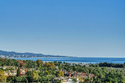 349410a907d4ca1f1da4cca26f05ae94 - 2