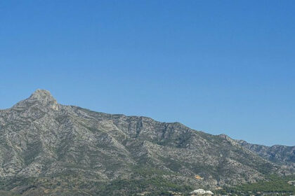 349410a907d4ca1f1da4cca26f05ae94 - 7