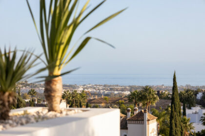 363b0b2a3cb155cc94c333f321e2387c - 24