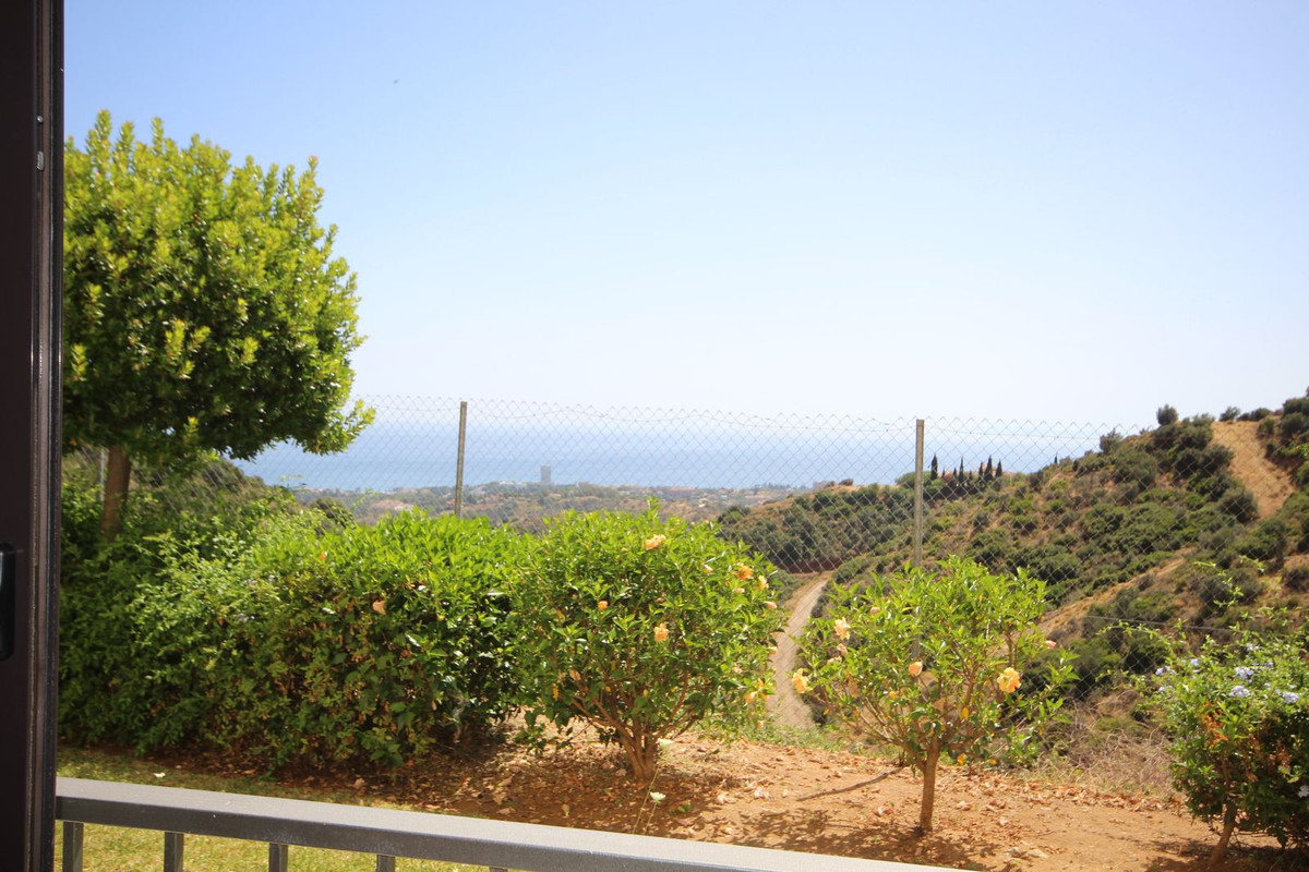 364be8b86f76f32b1bdece88f9eba81b - 18