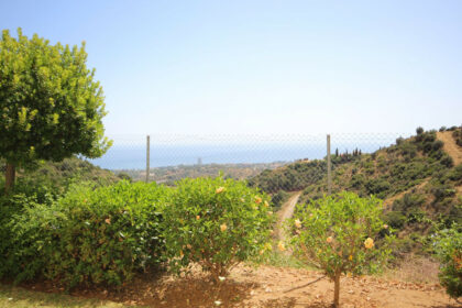 364be8b86f76f32b1bdece88f9eba81b - 19