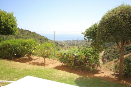 364be8b86f76f32b1bdece88f9eba81b - 21