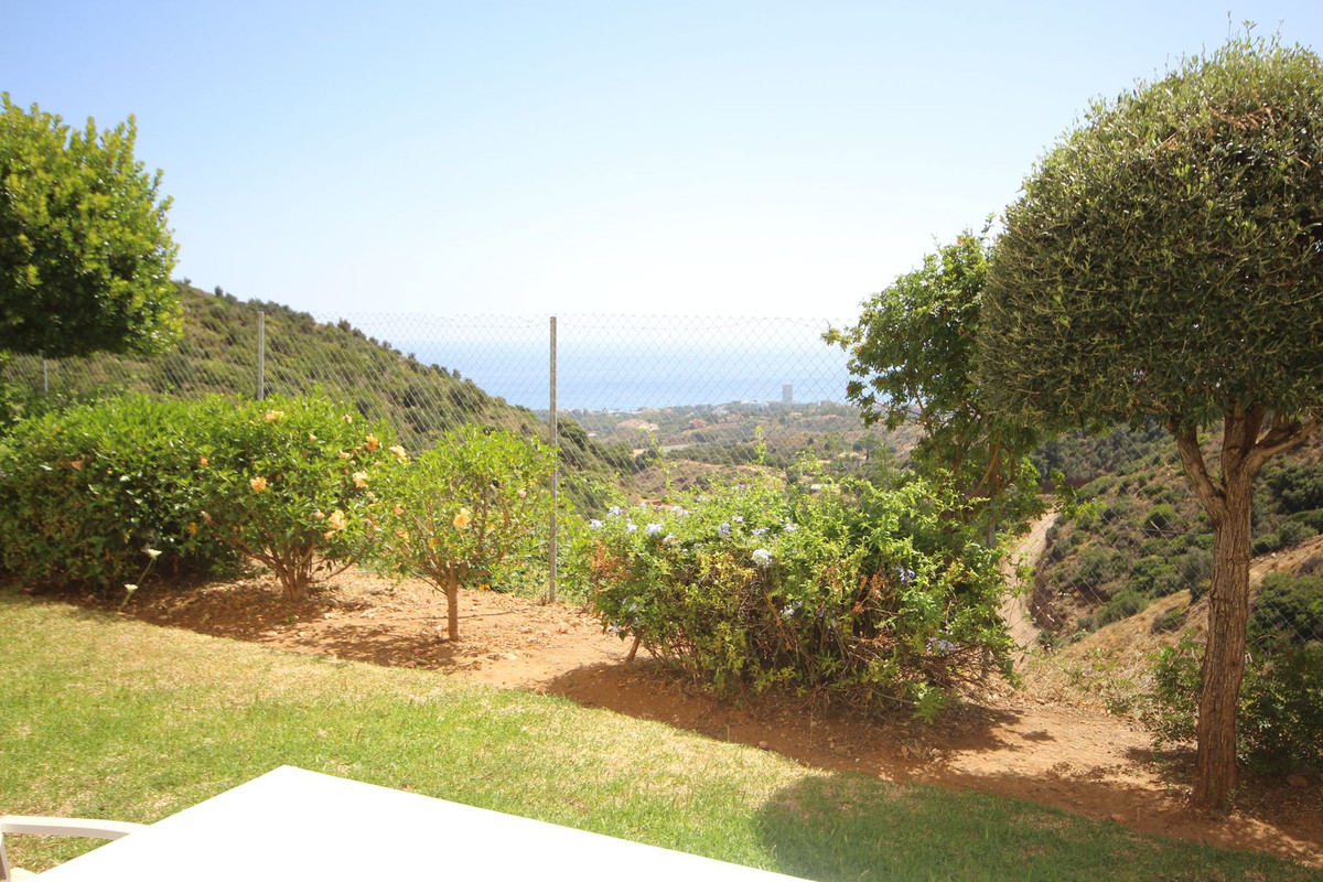 364be8b86f76f32b1bdece88f9eba81b - 21