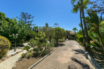 39de033e5b29ef2c1ef5b85dc0b36f4a - 41