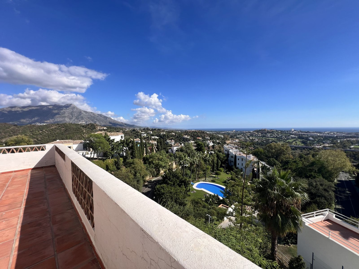 3a78dc87478f0307272c349c3d52b708 - 24