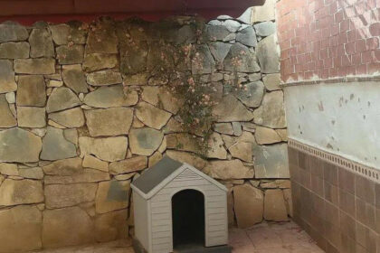 3c2643eae368459271827c3aac959eb8 - 4