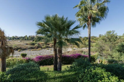 3c2f35ac9924f4b89b7f1a93f9ada22a - 51