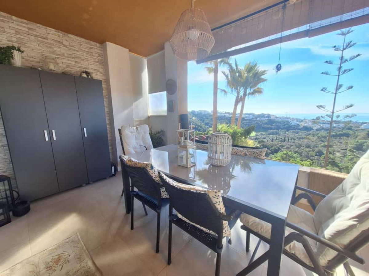 3d47d9c266a158f6e2393d37aae5066e - 12